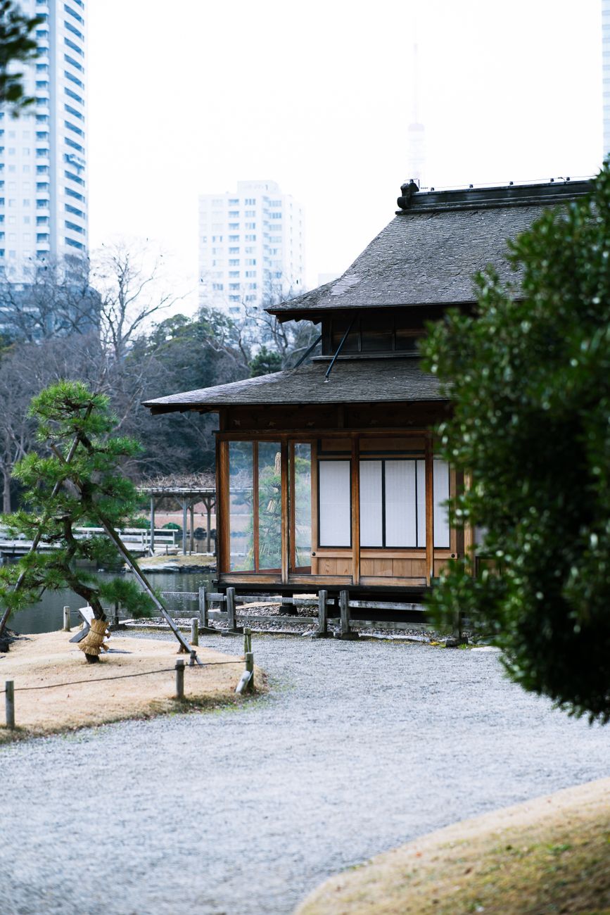 Traditional Japanese tea ceremony room overlooking moss garden