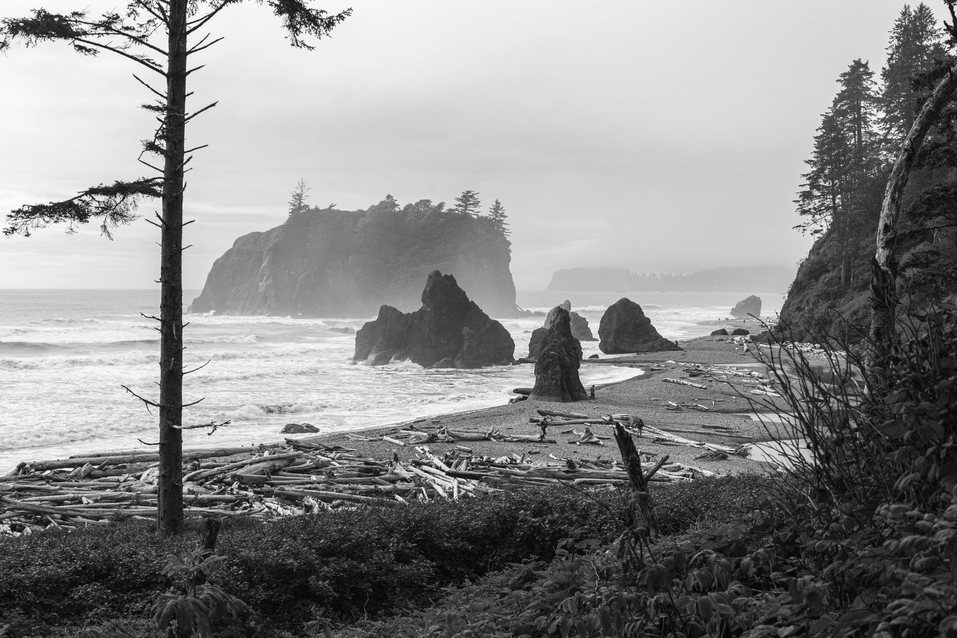 Oregon coast beach with sea stacks and driftwood logs